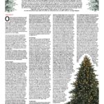 Kerstverhaal